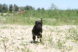 STAFFIE 039